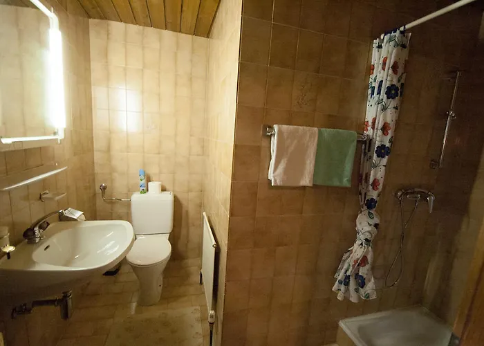 شقة Haus Panorama ليرموس